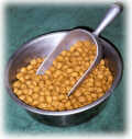 dry dog food dry dog food
